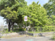 桃山公園の画像