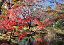 百草台自然公園