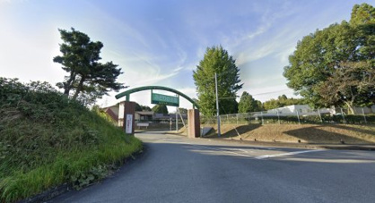 マザーランドの画像1