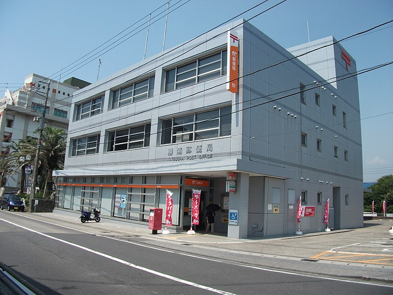 の画像