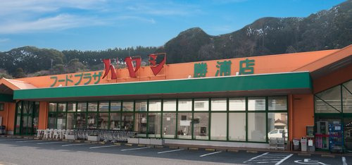 の画像