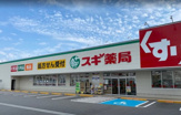 スギドラッグ 松原南新町店
