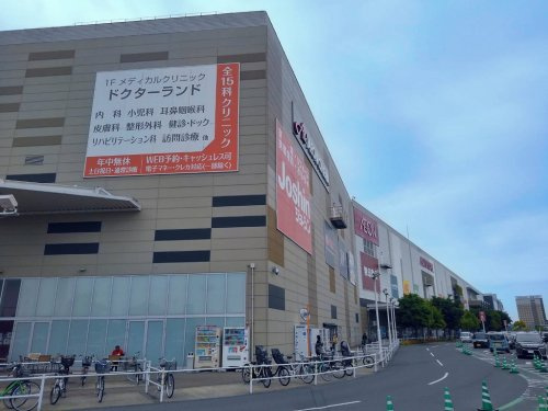 の画像