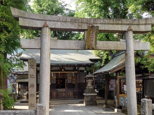 の画像
