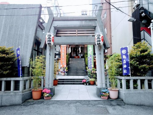 の画像