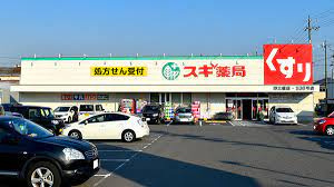スギドラッグ 野立橋店の画像1