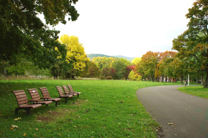 真駒内中央公園の画像1
