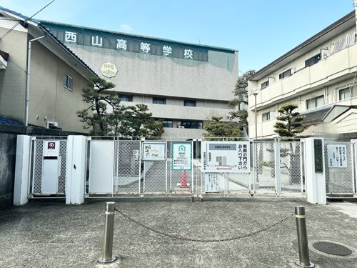 の画像
