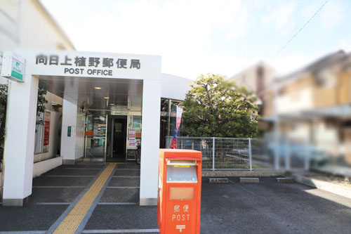 の画像
