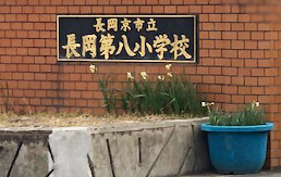 の画像