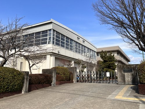 の画像