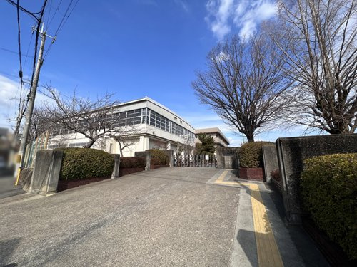 の画像