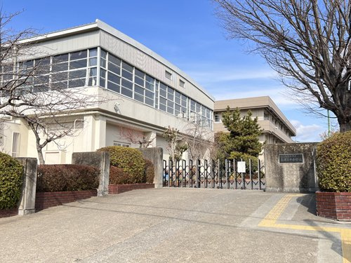 の画像