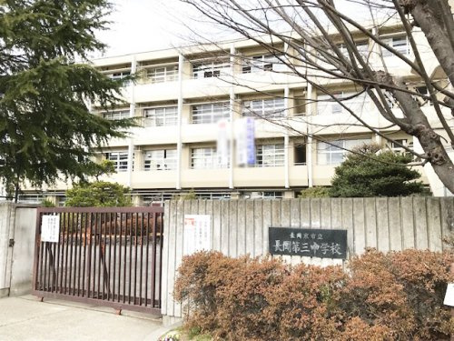 の画像