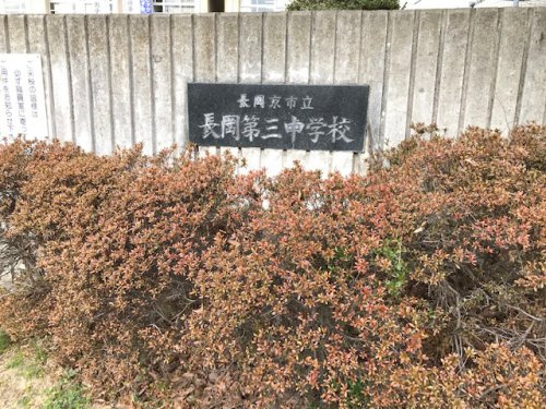 の画像