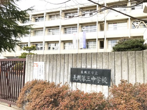 の画像