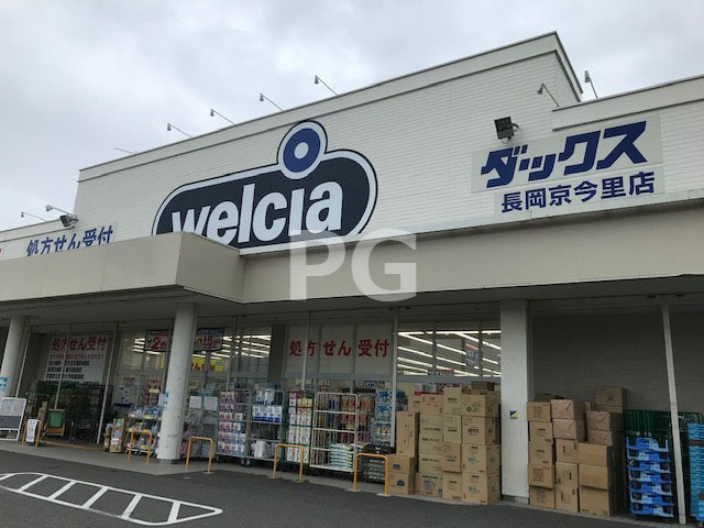 の画像
