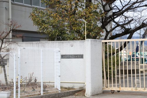 の画像