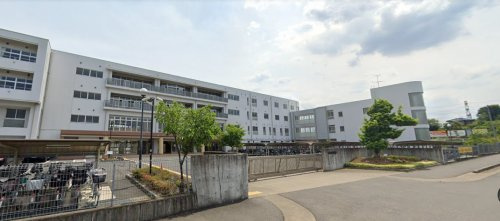 の画像