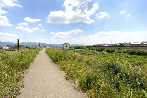 宇治川 堤防（桃山与五郎町周辺）の画像