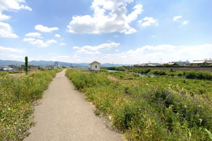 宇治川 堤防(桃山与五郎町周辺)の画像1