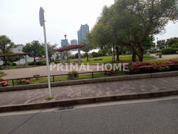 星野町公園の画像1
