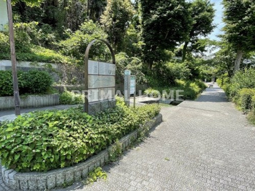 三ッ沢せせらぎ緑道の画像1