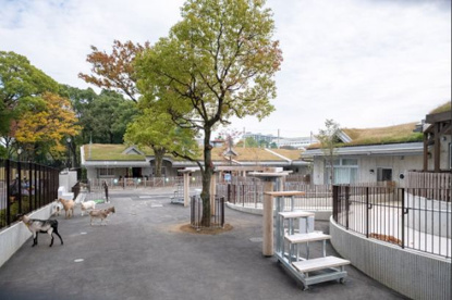 板橋区立こども動物園の画像1