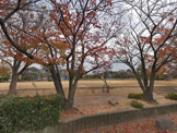 福田公園