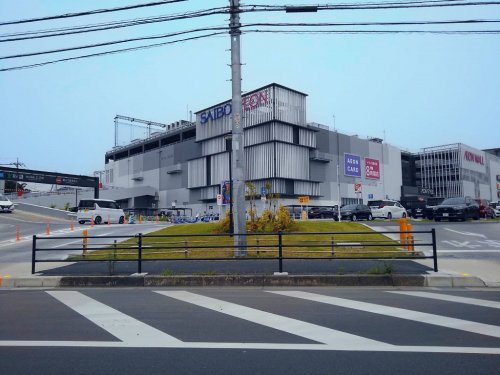 の画像