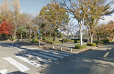 羽成公園
