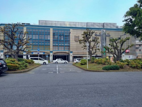 の画像
