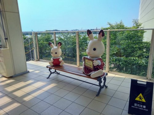 の画像