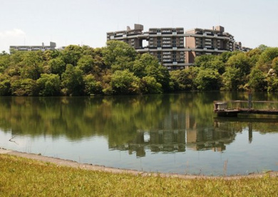 鴨谷公園の画像1