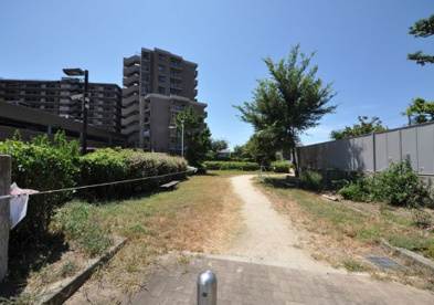 羽衣コアラ公園の画像1