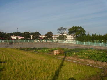 朽網東小学校の画像1