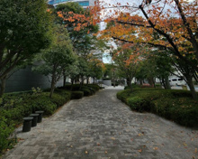 凸版印刷公開空地