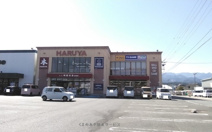 HARUYAプラスゲオ日田店