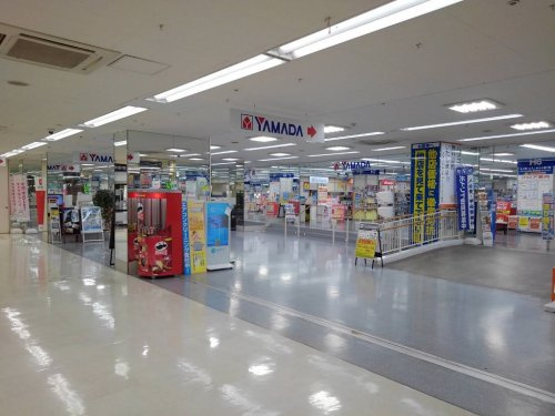 の画像