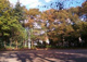 池袋本町公園の画像