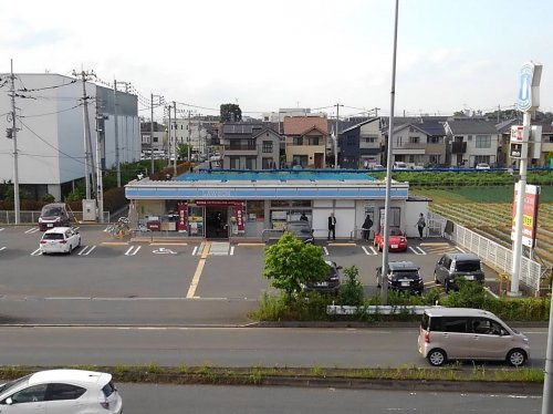 の画像