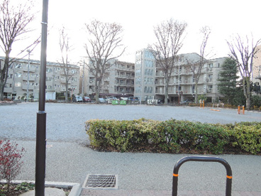 田端台公園の画像2