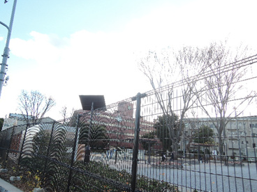 田端台公園の画像3