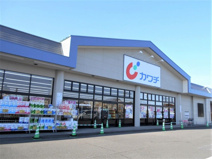 カワチ薬品 上三川店