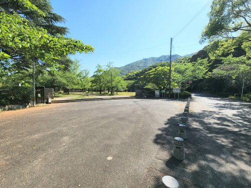 の画像