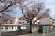 小平市立花小金井小学校の画像