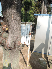 北区立　上田端児童遊園の画像3