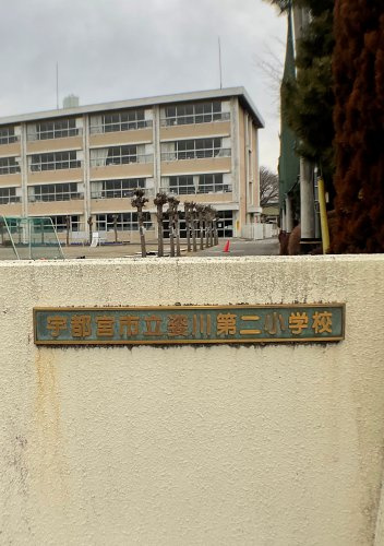 の画像