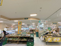 サンプラザ 河内長野店