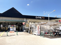 ロイヤルプロ【醍醐店】